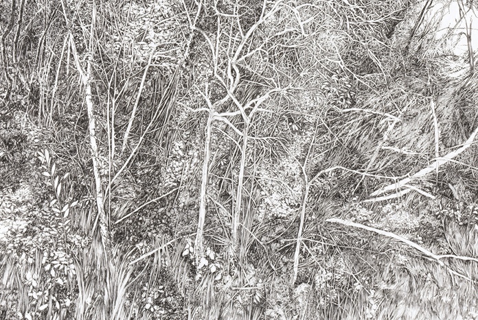 Emmanuel Henninger, Somnambulistic Forest, 2020. Encre de Chine sur papier 40 x 60 cm. Courtesy of the artist