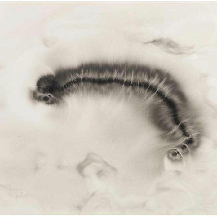 Ernesto Neto