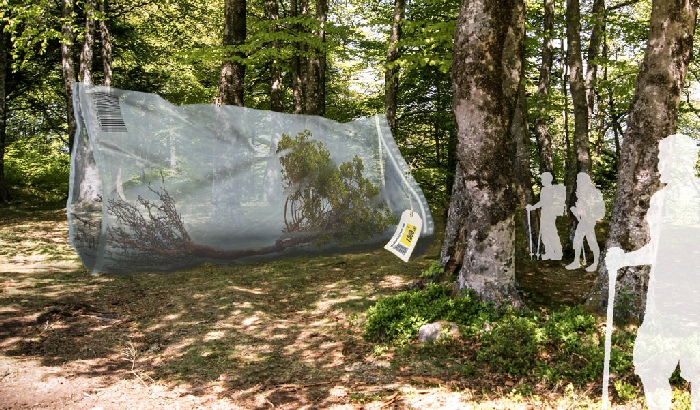 Jérémie Rigaudeau, La Nature a-t-elle un prix ?Hêtraie (Picherande). Bâche, arbre, PVC. Longueur : 7 m - Hauteur : 3,20 m - Largeur : 2,80 m 