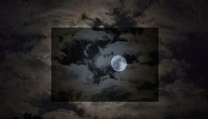 Neil Lang, Under the Moonlight, Approximately 4000 Kelvin. Photographie et vidéo, 2016