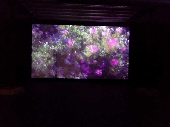 Davide Quayola, Jardins d’été, Galerie basse du Fenil