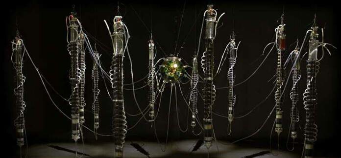 Gilberto Esparza, Plantas Autoofotosintéticas (Plantes autophotosynthétiques), 2013-2014