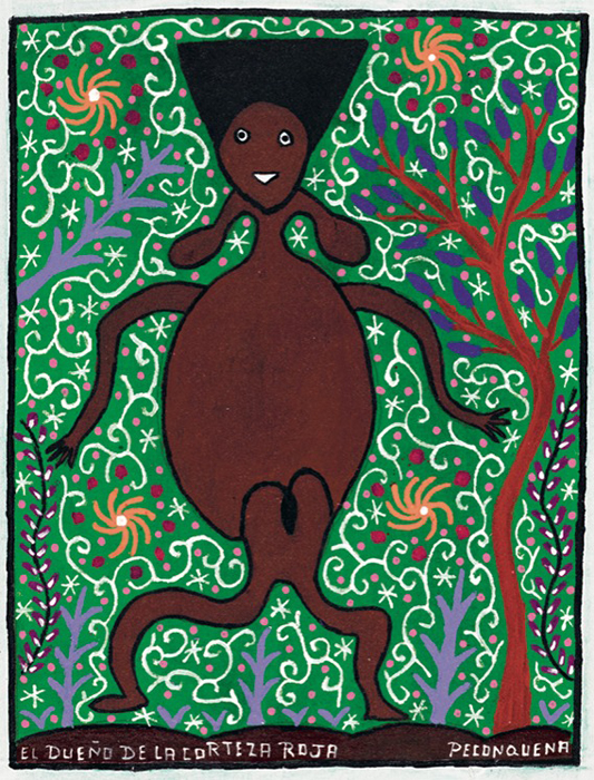 Photographie d'une peinture du Gardien de l'esprit de l’écorce rouge El dueño de la corteza roja] par Lastenia Canayo García (Pecón Quena).