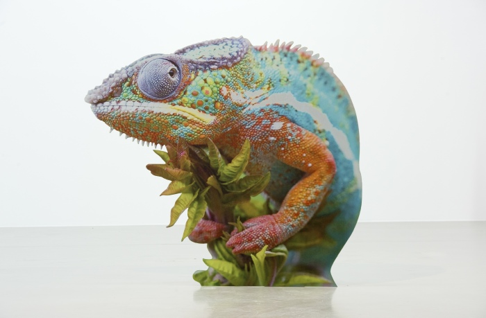 © Katja Novitskova, "Approximation V", 2013, impression numérique sur aluminum, 125 x 140 x 35 cm. Photo : Nils Klinger. Courtesy de l’artiste et Kraupa-Tuskany Zeidler, Berlin. 